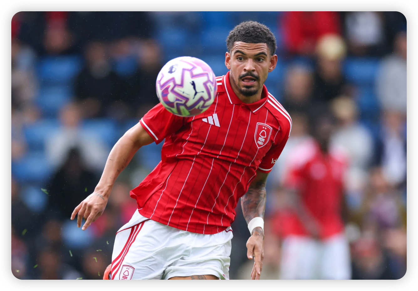 Gibbs-White’s Situation: A Personal Matter