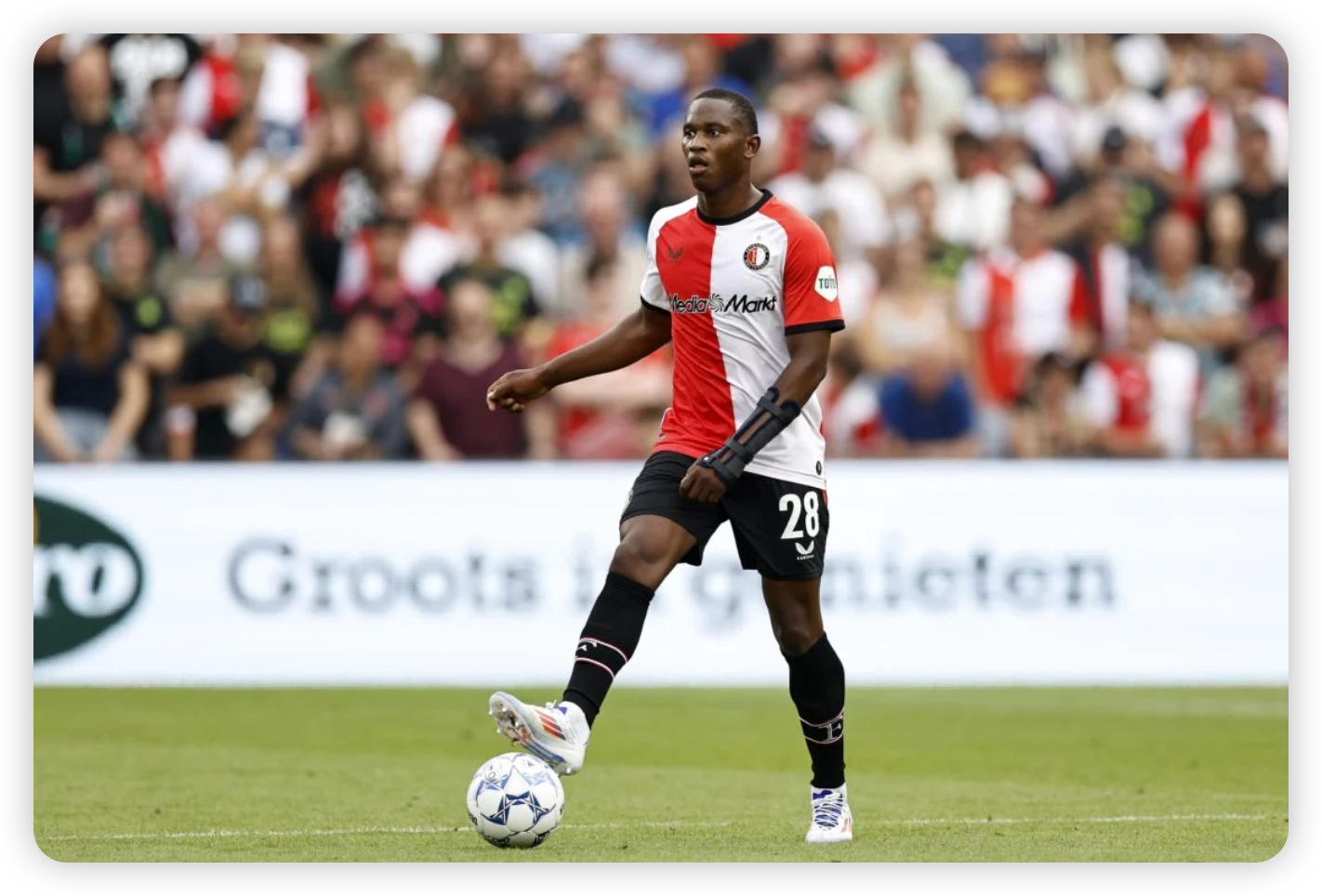 A Prolific Summer of Recruitment Concludes